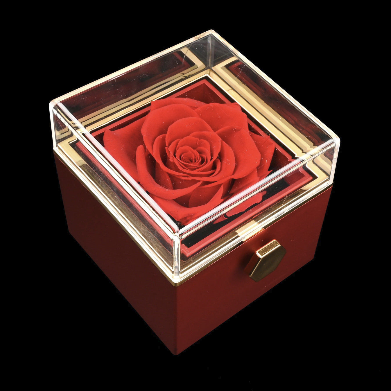 Eternal Rose Box W/ Personalized Necklace