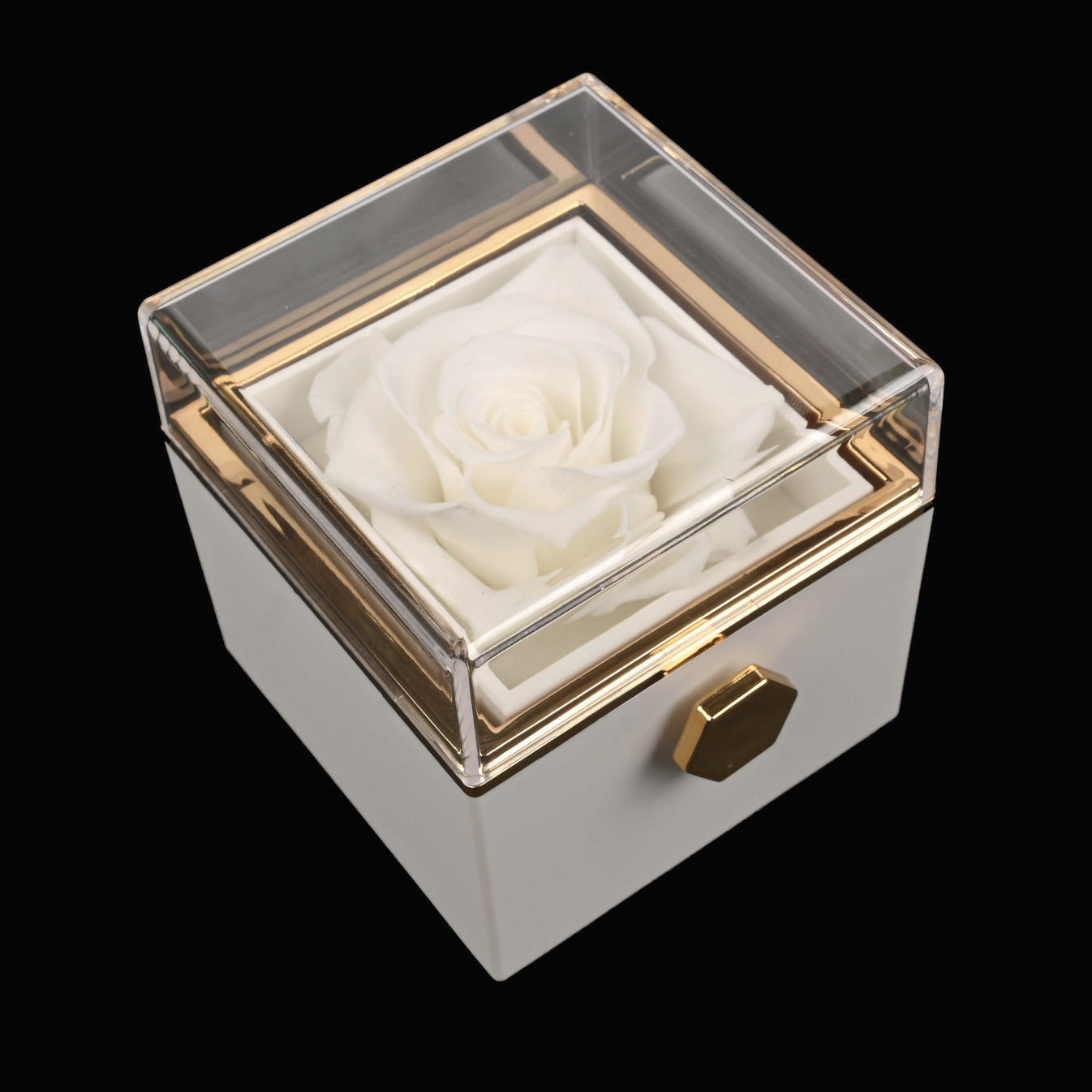 Eternal Rose Box W/ Personalized Necklace